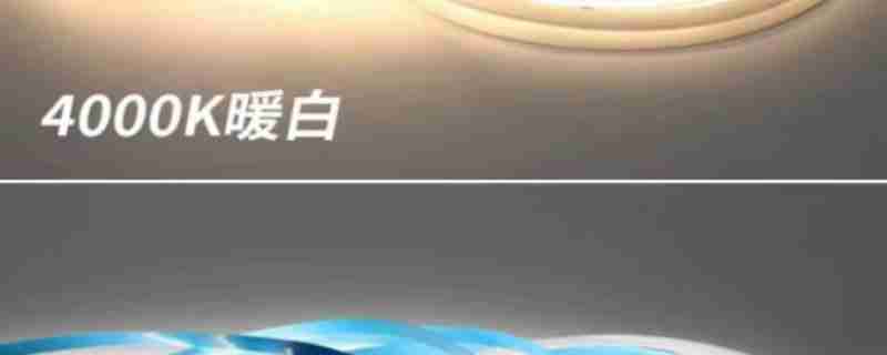 鸟友在南苑森林湿地公园拍摄到的国家一级重点保护鸟类黄胸鹀。鸟友张先生供图